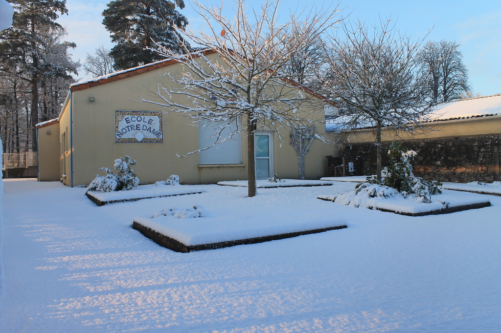 Consulter cet article