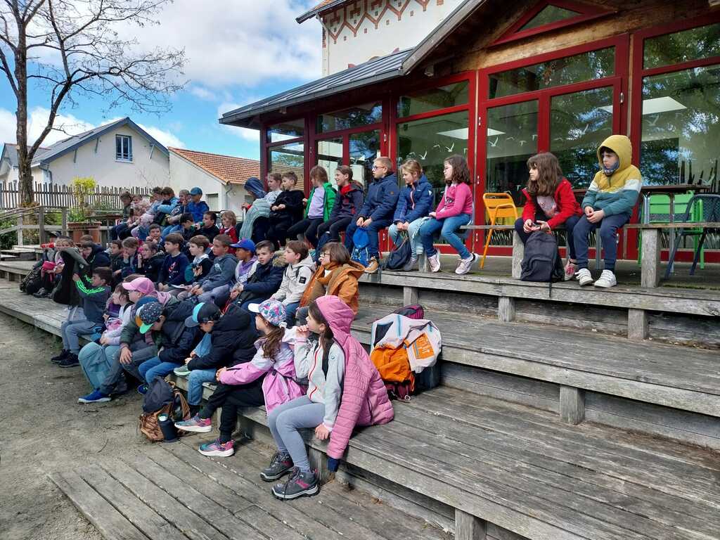 Consulter cet article